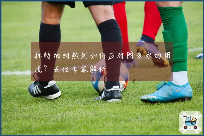 托特纳姆热刺如何应对图多尔的困境？五位专家解析